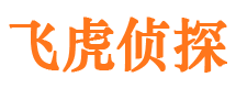 唐海侦探公司